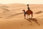 Google съемка пустыни верблюд Фото 01